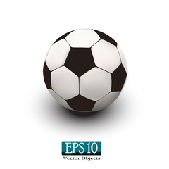 Fototapeta premium soccer ball