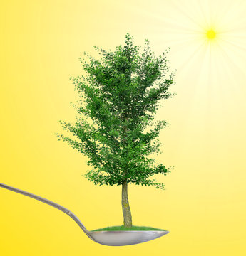 Symbol Naturheilkunde L&ouml;ffel mit Ginkgobaum als Freisteller vor sonnigem Hintergrund