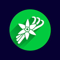 Vanilla flower and vanilla pods Vector Logo