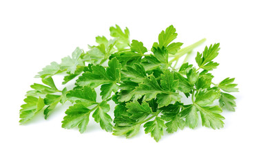 Parsley herbs