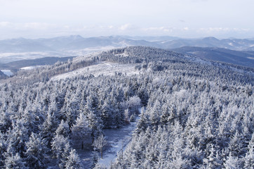 Landscape during the winter