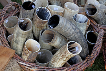 Drinking horns