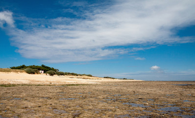 Etran de Sainte Marie en Ré