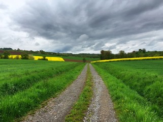 Feldweg im Frühling