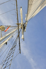 Fototapeta premium Sailing boat in the sea, blue sky