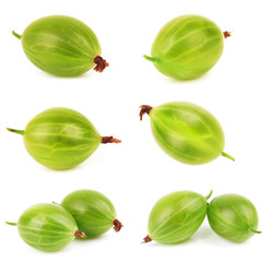 gooseberry