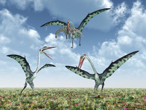 Quetzalcoatlus attacks a Camarasaurus