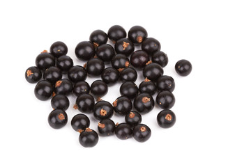 black currant