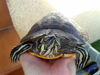 Buenos d&iacute;as!!