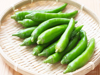 シシトウガラシ