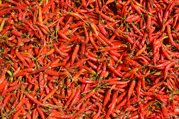 Red Chilli, Pepper background