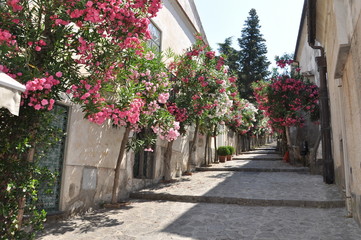 Wąska kamienna ulica z kwiatami we włoskim mieście - 87993538