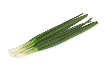 Fototapeta premium Green onions