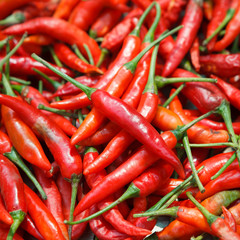 red chili or chilli cayenne pepper