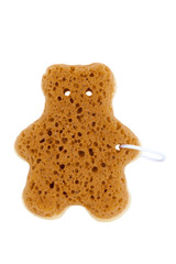 sponge isolated on white background