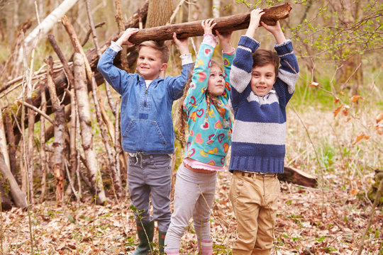 Children Building Camp In Forest Together