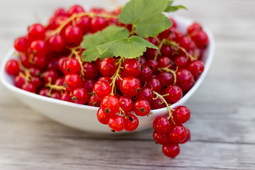 Frische Johannisbeeren in weißer Schale auf Holzuntergrund