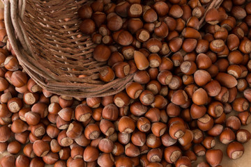 Hazelnuts