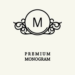 Stylish  graceful monogram , Elegant line art logo design