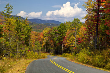 Gorges State Park in NC