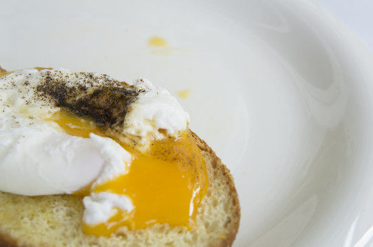egg benedict toast english breakfast plate concept