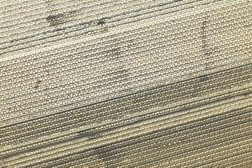 black and white corrugated paperboard
