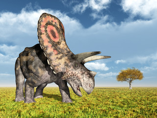 Dinosaur Torosaurus