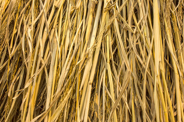 Background textured pattern straw.