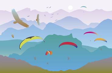 Paragliders and birds  