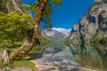 Fototapeta na wymiar Spiegelung am Obersee