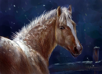 Лошадь и снег