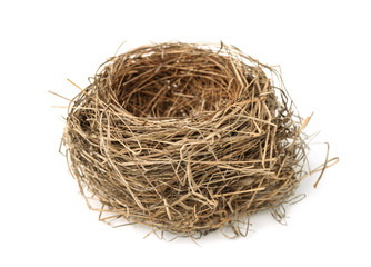 Empty bird nest