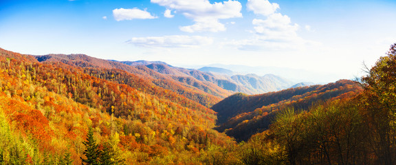 Great Smoky Mountains National Park in Autumn