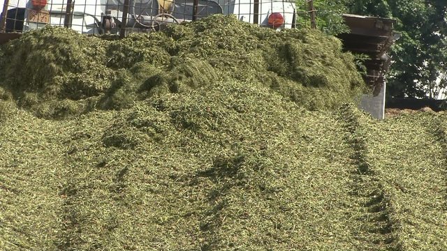 Haylage, work on the pit
