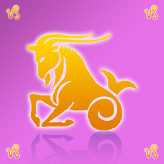 Signos del zodiaco