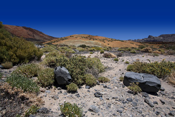 U podnóża wulkanu Teide na Teneryfie - obrazy, fototapety, plakaty