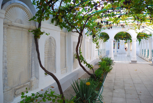 Grape courtyard in the Karaite kenassas. Yevpatoria.