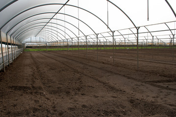 Naklejka premium Greenhouses for agriculture