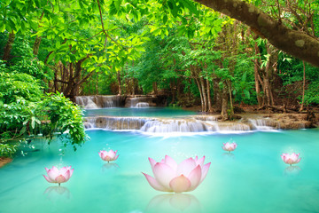 Lotus on water fall  hua mae kamin Kanchanaburi, Thailand (hua mae kamin)