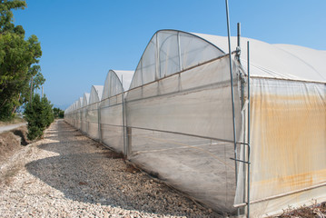 Greenhouses for agriculture