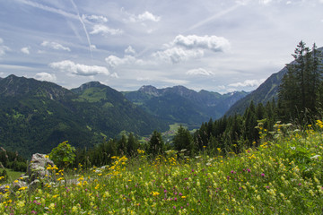 Blick auf das Hintersteiner Tal