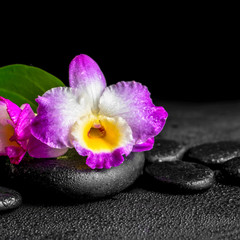 Obraz na płótnie Canvas closeup of spa background with purple orchid dendrobium and gree