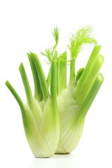 frischer Fenchel isoliert auf weißem Hintergrund © Björn Wylezich