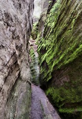 National Park of Adrspach-Teplice rocks. Rock Town. Czech Republic