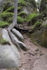 National Park of Adrspach-Teplice rocks. Rock Town. Czech Republic