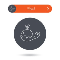 Whale icon. Largest mammal animal sign.