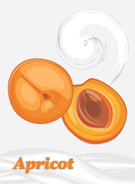 Yogurt apricot. Label for design