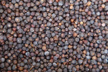 milled black pepper