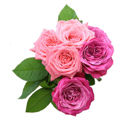 薔薇