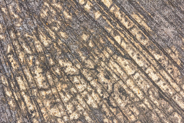 Old cement background